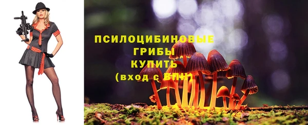 альфа пвп Новозыбков