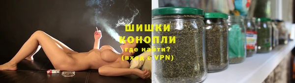 спиды Новодвинск