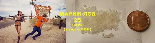 спиды Новодвинск