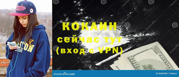 спиды Новодвинск