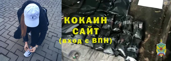 спиды Новодвинск