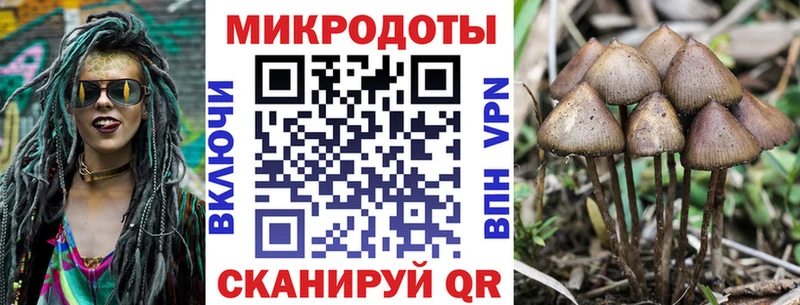 Псилоцибиновые грибы GOLDEN TEACHER  Шали 