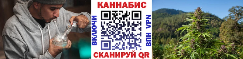 mega как войти  Шали  Шишки марихуана White Widow 